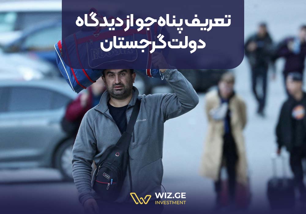 تعریف پناه‌جو از دیدگاه دولت گرجستان