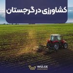 کشاورزی در گرجستان