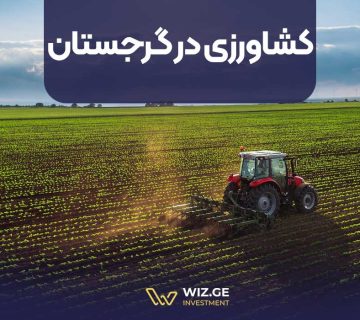 کشاورزی در گرجستان