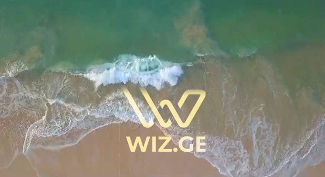 ویدیو معرفی ویز جورجیا