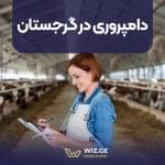 دامپروری در گرجستان