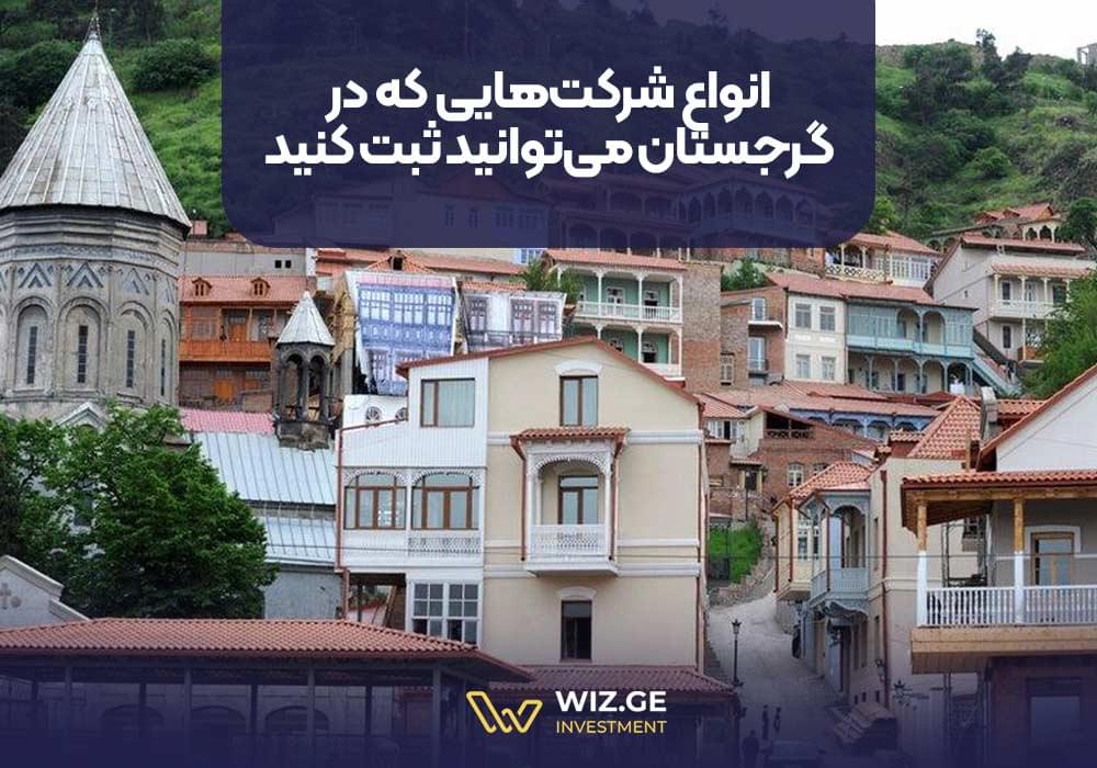 انواع شرکتهایی که در گرجستان میتوانید ثبت کنید